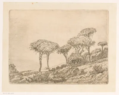Bergachtig landschap met bomen