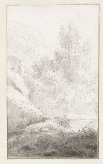 Bergachtig landschap met bomen