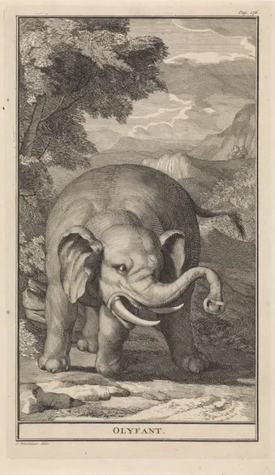 Bergachtig landschap met een olifant