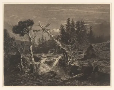 Bergachtig landschap met waterval en boomstronken