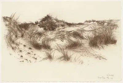 Bergen aan Zee, duinlandschap