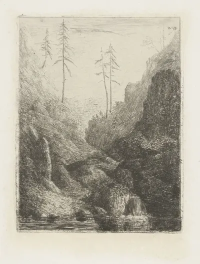 Berglandschap met beek en naaldbomen