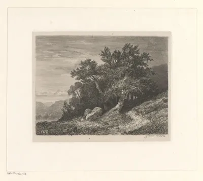Berglandschap met bomen aan een meer