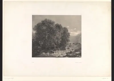 Berglandschap met bomen en een meer