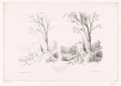 Berglandschap met bomen en meer