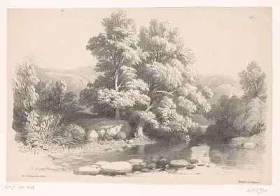 Berglandschap met bomen en vijver