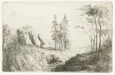 Berglandschap met bomen