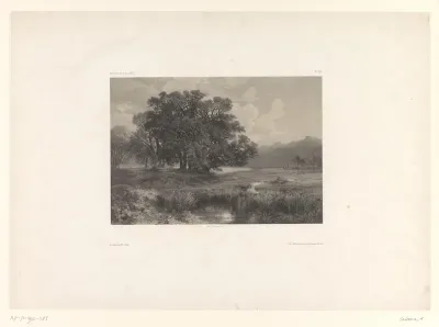 Berglandschap met boomgroep bij een ven