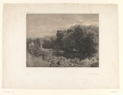 Berglandschap met bos