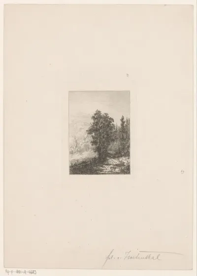 Berglandschap met bospad
