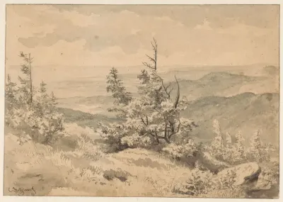 Berglandschap met dennen op de voorgrond