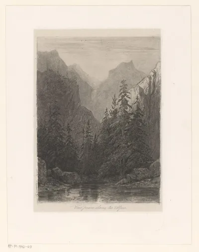Berglandschap met dennenbomen aan een meer