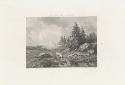Berglandschap met koeien