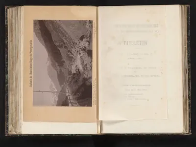 Berglandschap met naaldbomen bij de Via Mala, Zwitserland