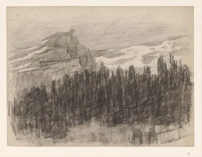 Berglandschap met naaldbomen