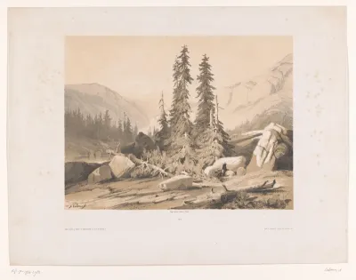 Berglandschap met sparren en berggeiten