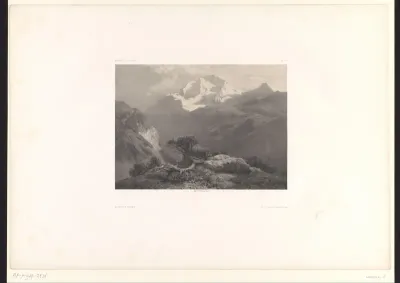 Berglandschap met struiken en afgrond
