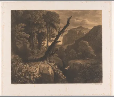 Berglandschap met vogel vliegend door een ravijn
