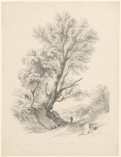 Berglandschap met wandelaar op een weg