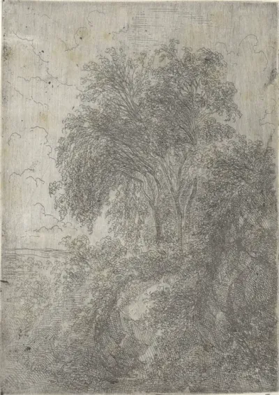 Berken