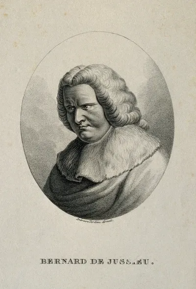 Bernard de Jussieu