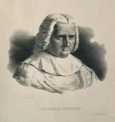 Bernard de Jussieu