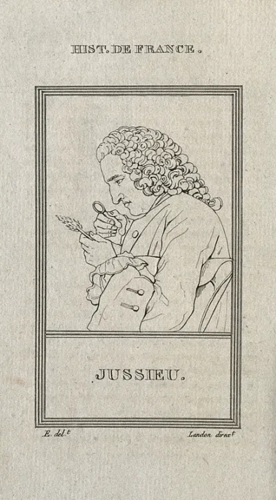 Bernard de Jussieu