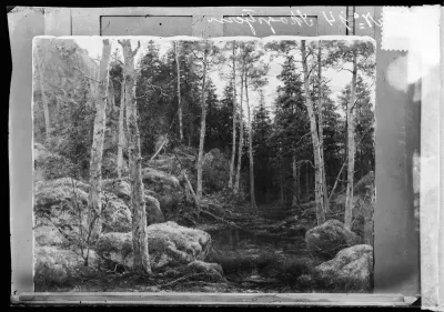 Berndt Lindholm: "Metsälampi Taalainmaalla (Suomaisema Dalslandissa; Metsäinen ranta)" vuodelta 1885