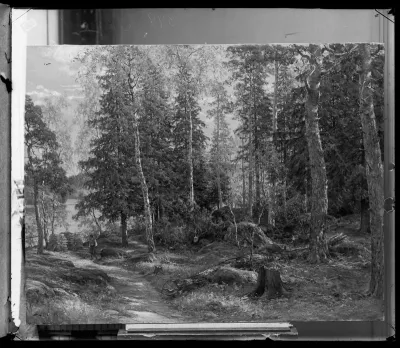 Berndt Lindholm: "Metsänsisusta, aihe Laajasalosta, Helsingistä" vuodelta 1886