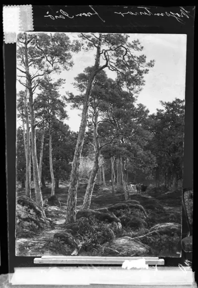 Berndt Lindholm: "Metsänsisusta Säröstä" vuodelta 1883