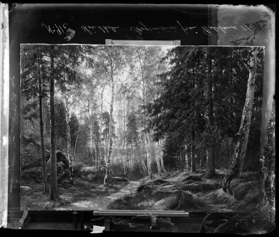 Berndt Lindholm: "Metsänsisusta Taalainmaalta" vuodelta 1884