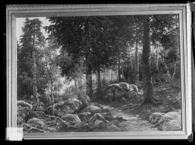 Berndt Lindholm: "Metsäseutu" vuodelta 1882
