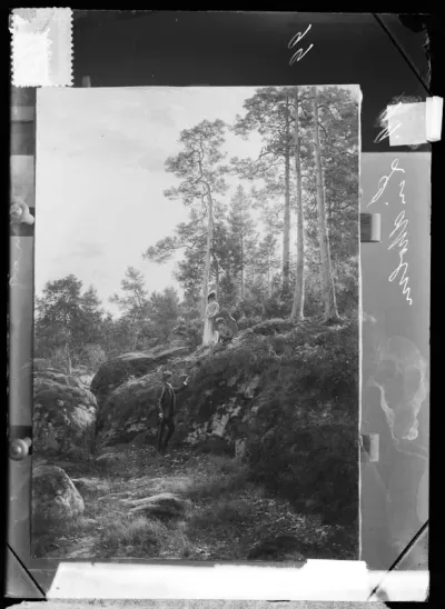 Berndt Lindholm: "Petäjikössä (Metsäseutu)", ajoitus 1883-1889