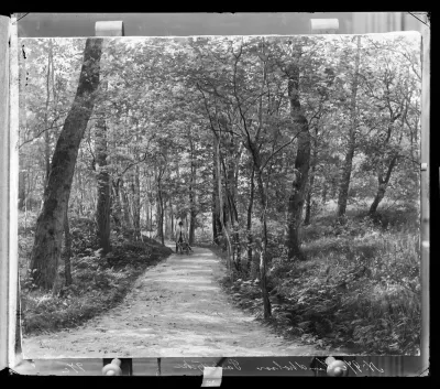 Berndt Lindholm: "Puutarhakäytävä (Puistokuva)" vuodelta 1880