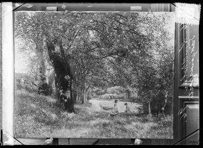 Berndt Lindholm: "Puutarhamaisema (Pyökkien alla)" vuodelta 1887