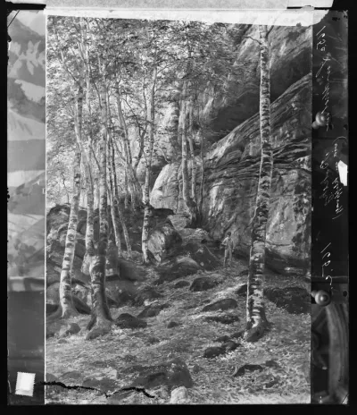 Berndt Lindholm: "Pyökkien alla" vuodelta 1889