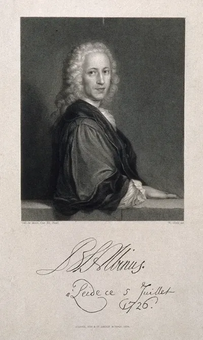 Bernhard Siegfried Albinus
