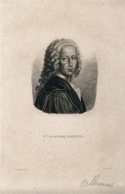 Bernhard Siegfried Albinus