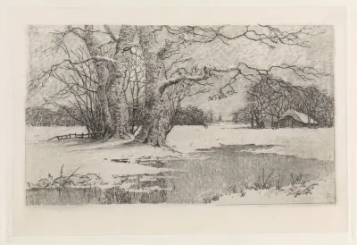 Besneeuwd landschap