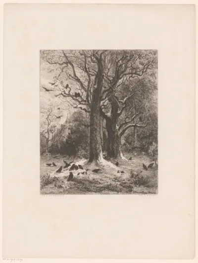 Besneeuwd landschap met vogels