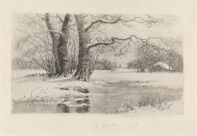 Besneeuwd landschap