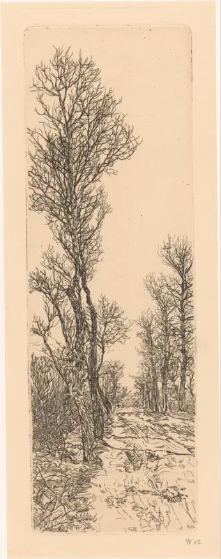 Besneeuwde landweg met bomen