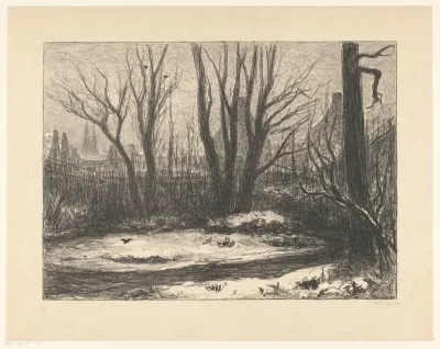 Besneeuwde tuin te Deventer