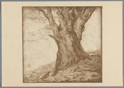 Beukenstam