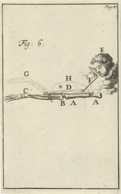 Beweging van de arm, fig. 6
