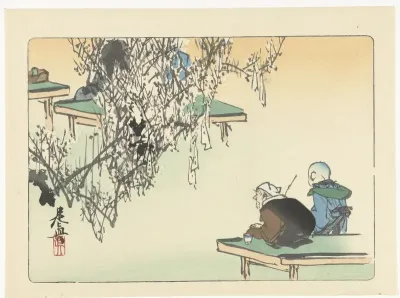 Bewonderen van pruimenbloesem