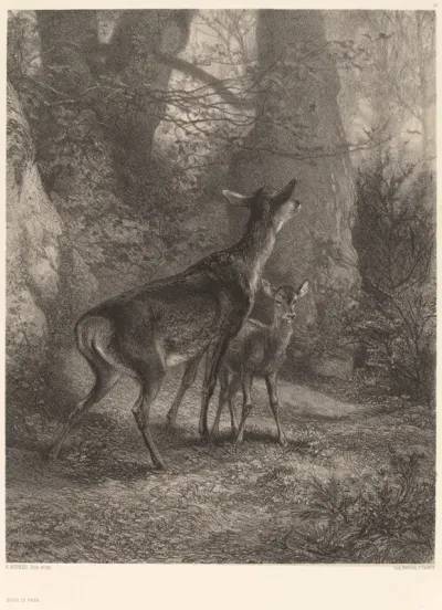 Biche et Faon