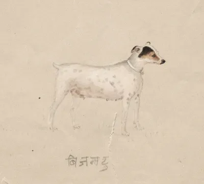 Bijantu