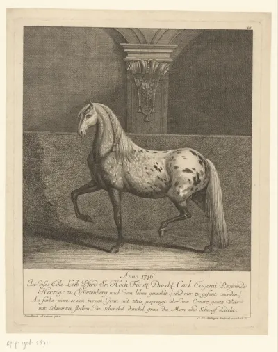 Bijzonder paard van Karl Eugen von Württemberg