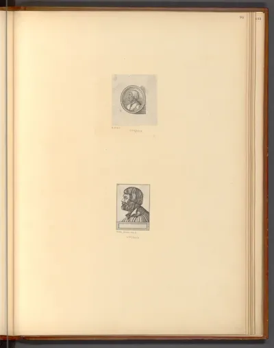 Bildnis Albrecht Dürers